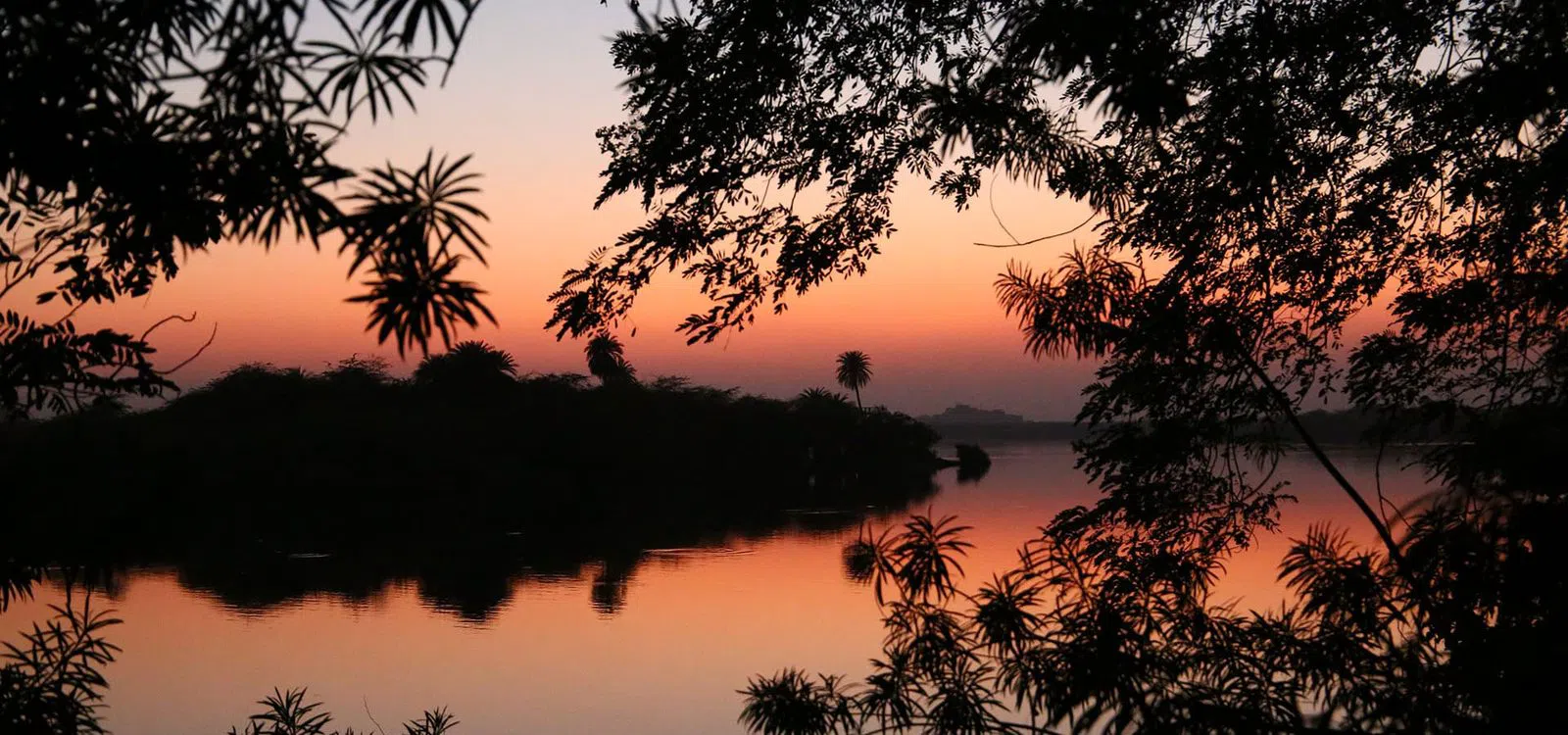 Centro de Resgate de Ursos de Agra (Wildlife SOS), Agra